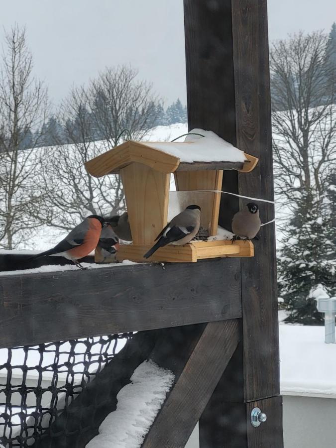 U Zlate Brizy Krusne Hory - Erzgebirge Lägenhet Horní Blatná Exteriör bild